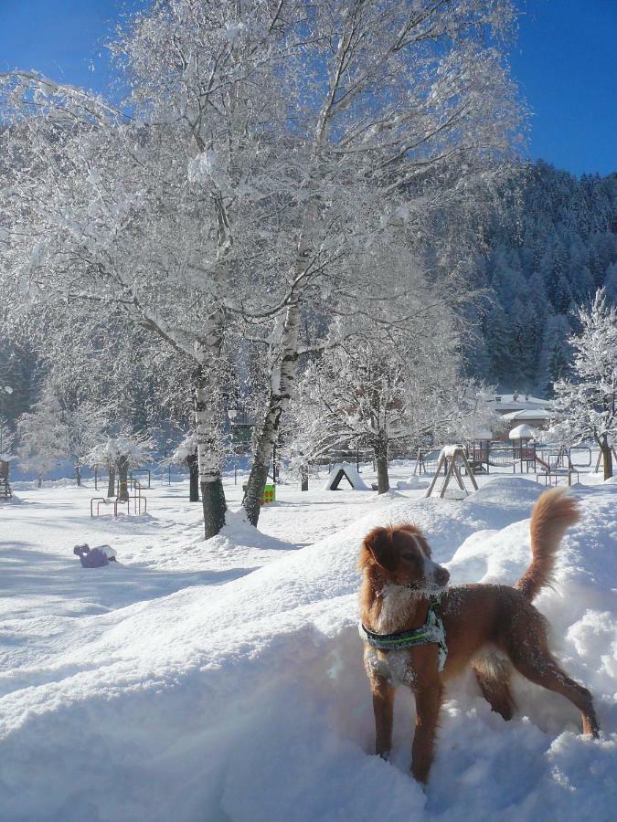 B&B Ca Dei Baroni Pellizzano Eksteriør bilde